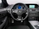 Mercedes-Benz E 500, 2009 - ....