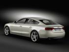 Audi A5 2.0 TDI, 2012 - 2016