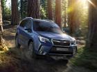 Subaru Forester 2.0, 2016 - 2018